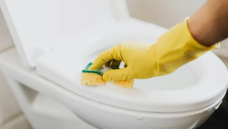 都用錯了！菜瓜布「黃色海綿」不是用來洗碗的　日本3M曝真正用法