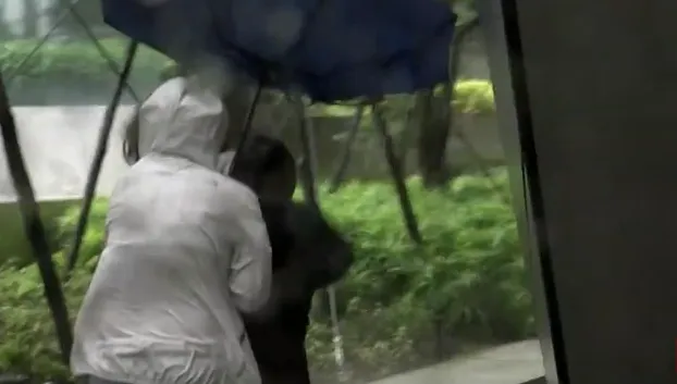搞錯恐罰6000元！雨傘壞掉怎麼丟？各縣市規定一次看