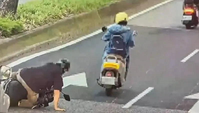 好心人護鳥屍！北市男直直衝三角錐慘摔　畫面曝光