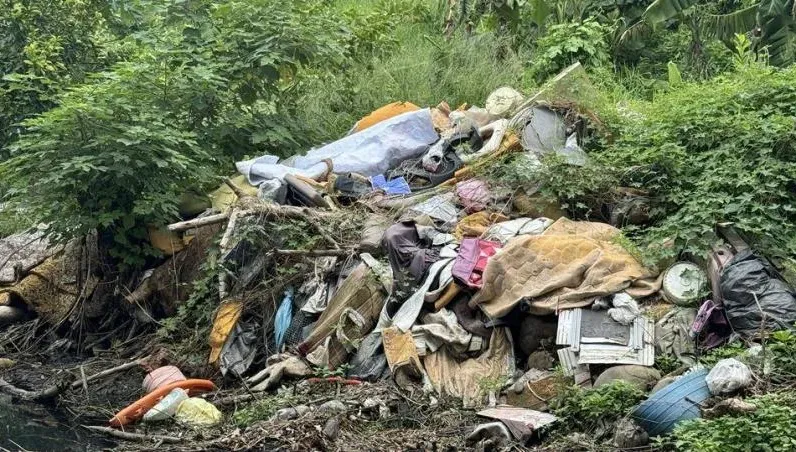 台中鳥竹圍公園變床墊山！家具行非法棄置30多張床　環保局強力掃蕩