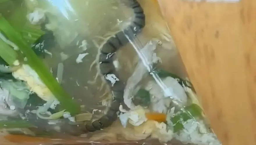 買1送1！蛋花湯加料5公分「巨蜈蚣」腳腳分明　網笑：高檔大補湯