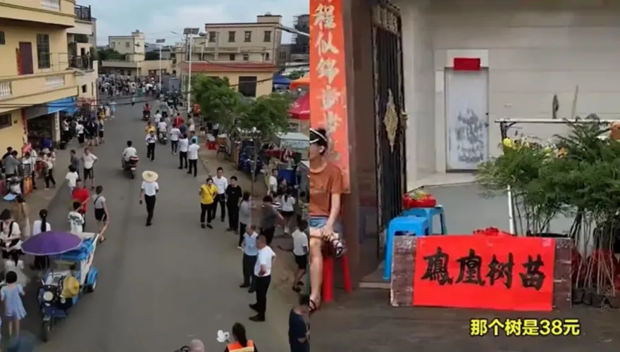 有家歸不得？全紅嬋爸媽搬去果園住　小販老家口開賣「水花消失樹苗」