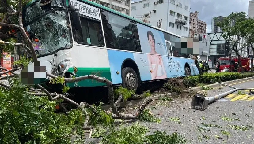 影/直擊！蘆洲公車高速衝上分隔島「掃倒整排樹」　疏散情形曝光