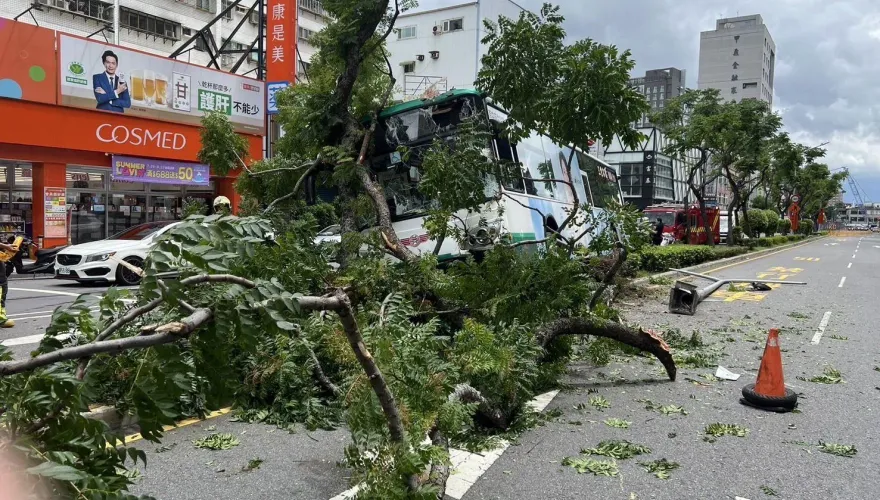 頭暈原因找到了！三重客運衝分隔島害乘客受傷　司機酒測值0.14「昨晚有喝」