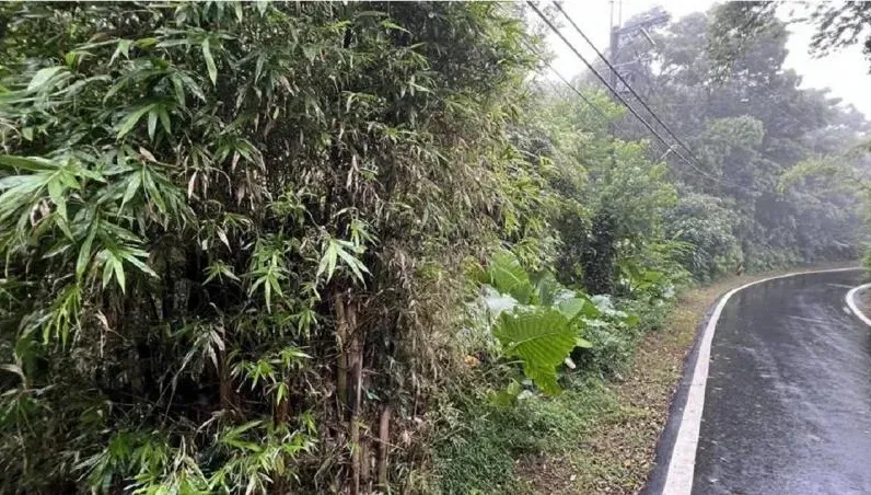 活人裝箱！4惡煞痛毆被害人丟包山區致死　兇手躲過追溯期竟獲不起訴