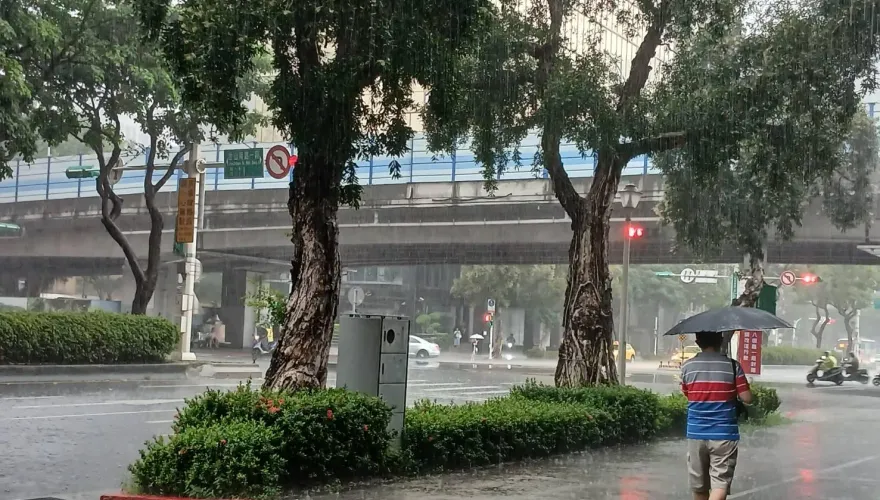 今晨下探15.1℃！銀杏環流、東北季風夾擊　豪大雨轟炸「北部、東北部」