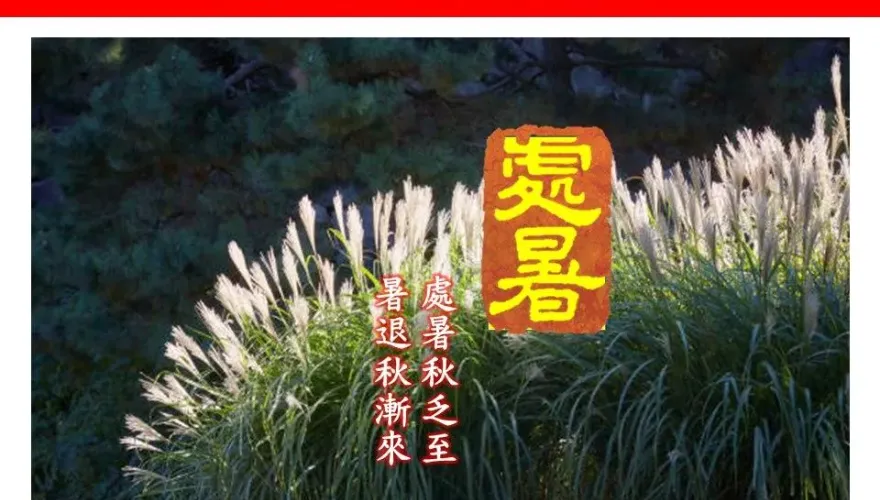 今迎「處暑」小心秋老虎！5縣市高溫特報　專家示警：進入颱風最多季節