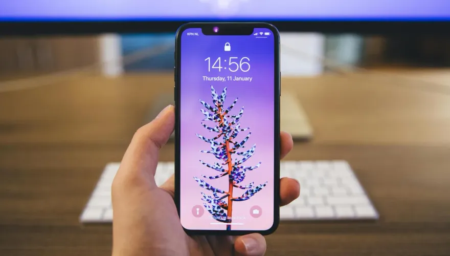 別亂試！iPhone出現嚴重Bug　App資料庫輸入「這4字元」直接當機重啟