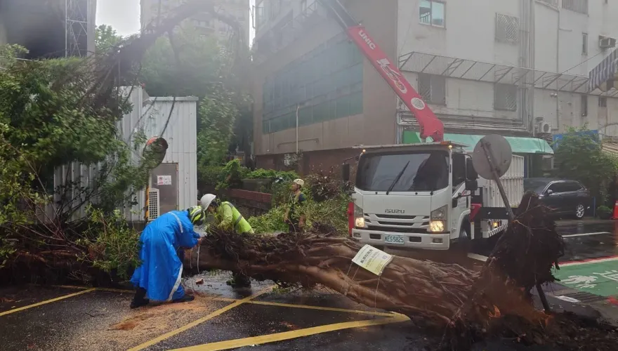 影/小黃才剛過...北市大安區「10公尺高路樹」倒塌！驚險畫面曝