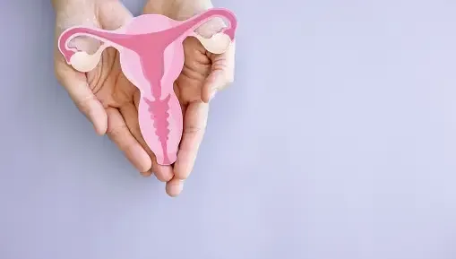 婦如廁「掉出一塊肉」！就醫子宮脫垂已第四度　「7症狀」勿輕忽