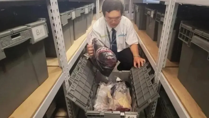 去年就有逾萬件！中捷受理遺失物　驚見60萬元祖母綠、10萬現金