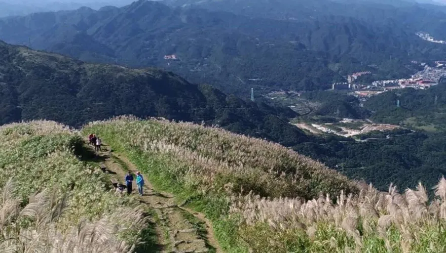 去九份就搭它！「台灣好行965」即日啟程　盡覽山城之美