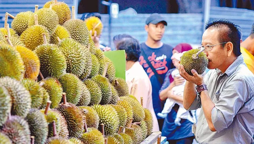 越臭越愛！明星帶貨掀榴槤熱潮　全球95%銷往陸…被列「死前必吃清單」