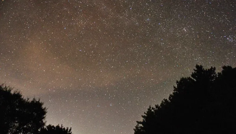 曖昧升溫！「4星座」桃花能量爆發　天秤成焦點