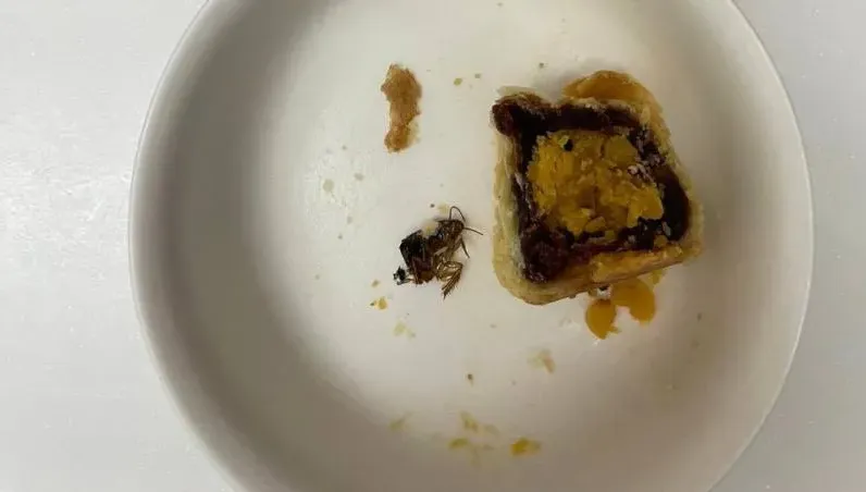 不二糕餅「蛋黃酥蟑螂」假爆料　律師揭發文者：恐觸誹謗罪