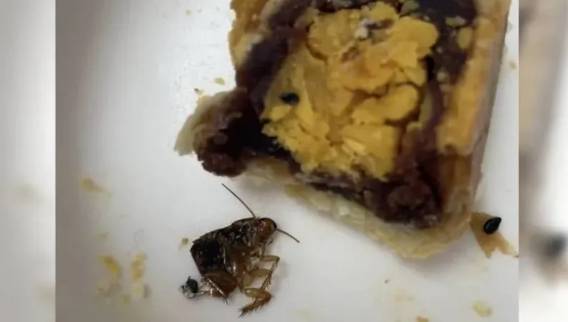 她爆料「蛋黃酥有蟑螂」遭提告！　律師示警PO網前注意自保「4要點」