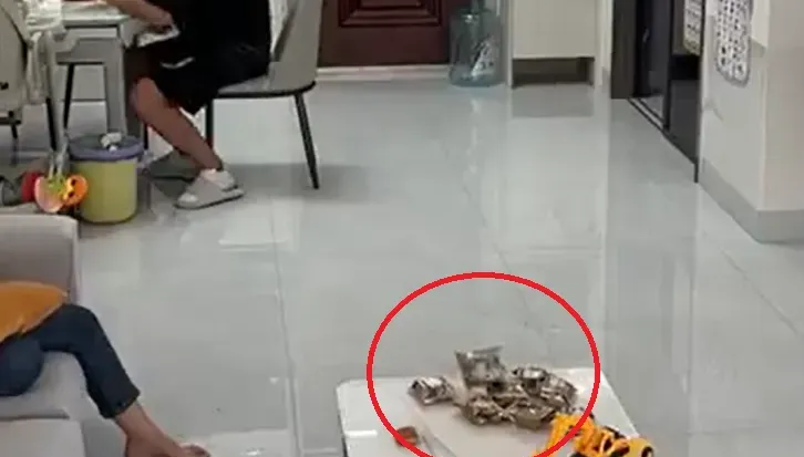 影/嚇爛！桌上月餅「離奇自爆」嚇哭小孩　網驚：跟風BB Call爆炸？