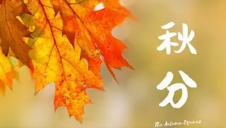 9/22節氣「秋分」到　命理師曝6生肖運勢上揚：屬猴名利雙收