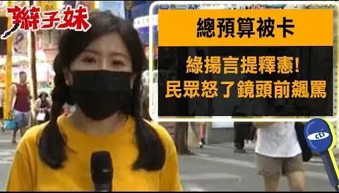總預算被卡綠揚言提釋憲！民眾怒了　鏡頭前飆罵：別再亂搞了