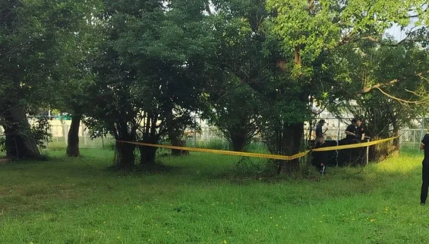 快訊/北市景勤2號公園驚見男屍！60歲男全身僵硬死亡多時　身分待釐清