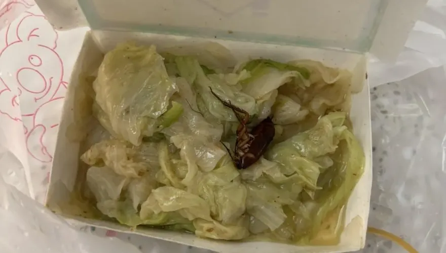 台中買「白菜滷」驚見「巨無霸小強」　全網傻眼：要去收驚了