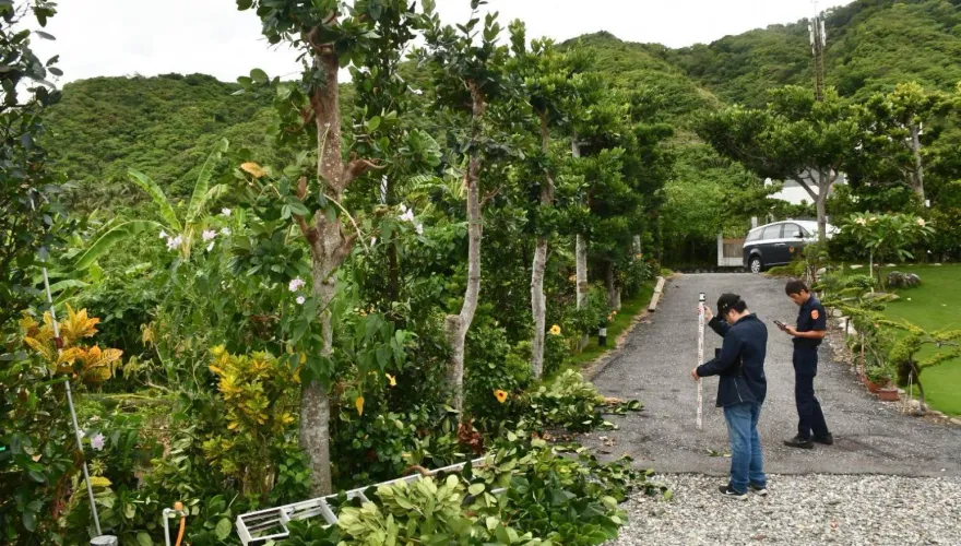 山陀兒再釀死！花蓮7旬民宿老闆修剪樹木　3公尺高摔落不治