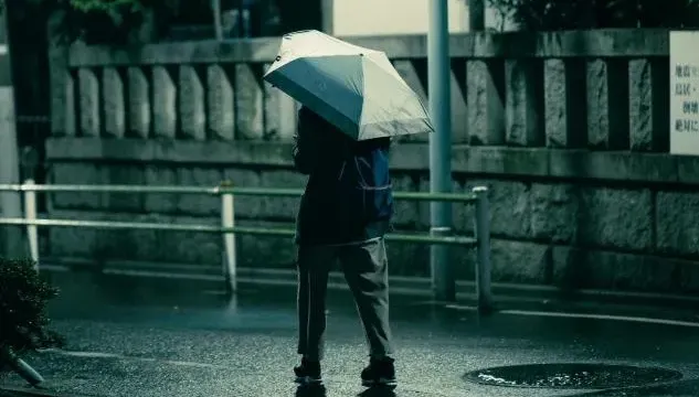 影/誰說雙北不需放颱風假！淡水男撐傘秒開花　糗態曝光網友嘴角失守