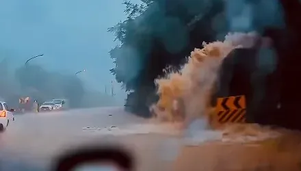 山陀兒暴雨狂砸！瑞八公路變「泥流洗車隧道」　還有生猛「吳郭魚」