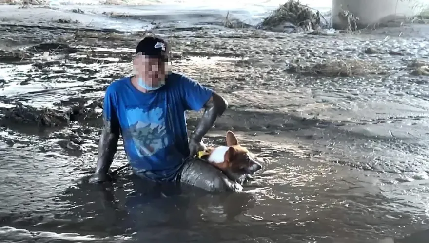 尷尬！台東民眾颱風後遛狗誤陷泥沼　愛犬一臉茫然待救援