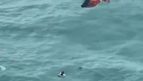 影/颶風米爾頓重創佛州！男子遭風浪沖進墨西哥灣緊抓冰箱獲救