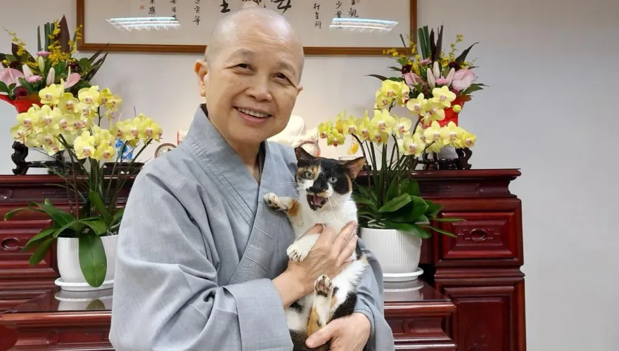 慈濟盜圖！釋昭慧批「畫家兒子蹭熱度」：我本就不慈悲