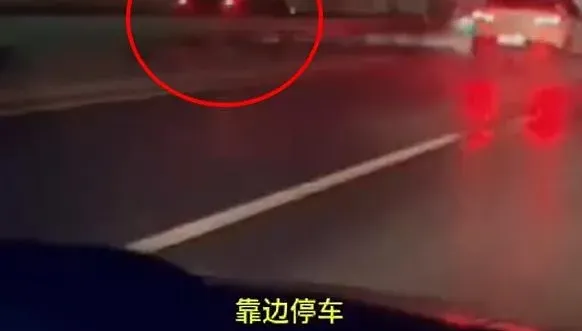 影/新手剛拿證…夜間跟導航竟「高速公路上逆行」　陸女駕照慘被吊銷