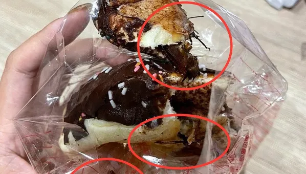 噁爆！南投老牌巧克力麵包「咬到完整蟑螂」崩潰反胃　衛生局查多項缺失