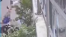 影/起底！台中18歲無照猴撞死人「BMW租來的」　家開宮廟、禮儀社