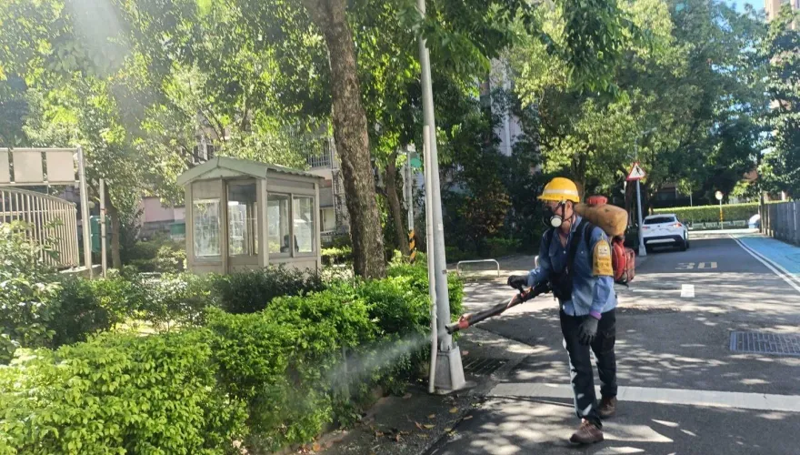 北市再添1例登革熱確診者！同住家人「尚無症狀」　感染源待釐清