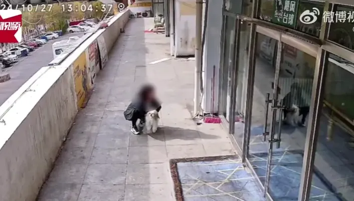 影/愛犬店門口隨意排泄遭員工「持棍抽打」　陸飼主發文討拍…網揪1點不挺