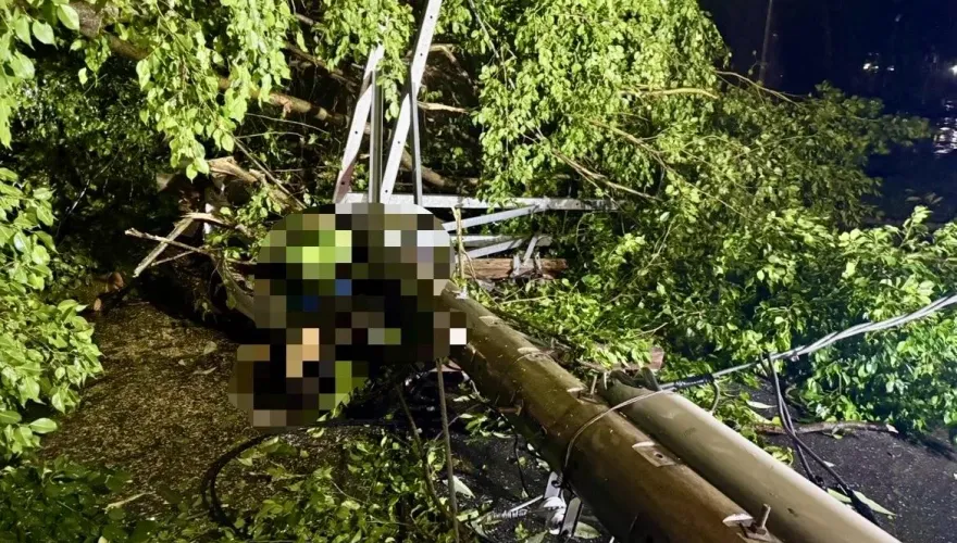 影/康芮再釀1死！北市內湖路樹壓倒電線桿砸死騎士　驚恐瞬間曝光