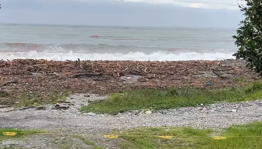 影/颱風過後！花蓮北濱沿岸驚現「大量漂流木」　民眾：從沒見過這麼多