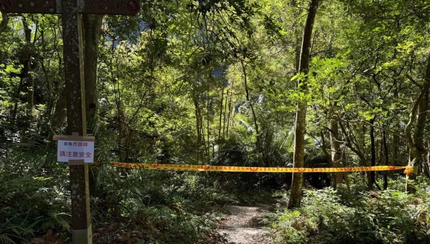 苗栗泰安水雲瀑布虎頭蜂螫人！160人登山團遭攻擊　2男2女送醫