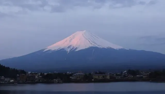 去富士山不必塞車了！日引進陸無軌電車接駁遊客　造價180億台幣僅輕軌6成