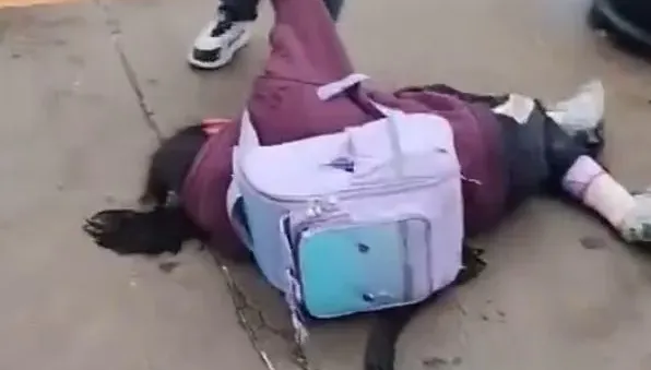 珠海事件翻版？湖南小學驚傳撞人事件　多名學生倒地傷亡不明