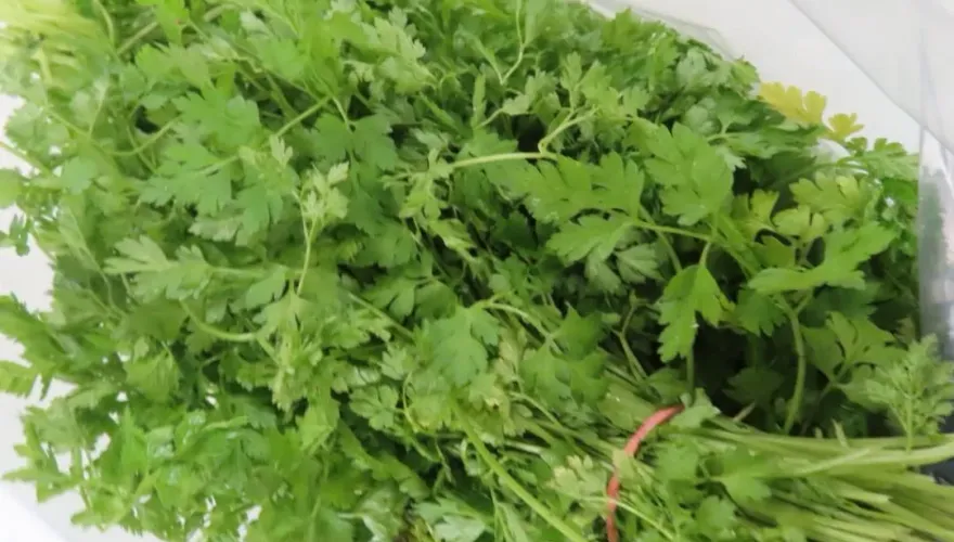 「聯馥食品」法國進口香芹檢出13項農藥超標！牛肝菌菇重金屬違規