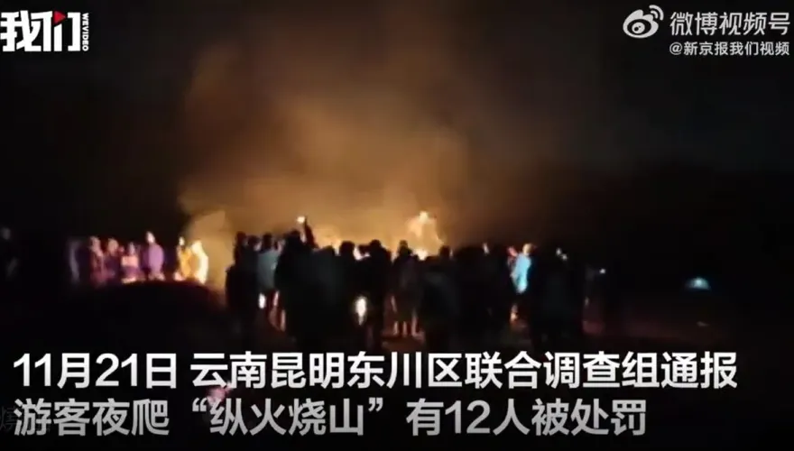 影/險釀火燒山！雲南登山客為取暖點熊熊篝火　還把特有植物當柴燒遭處罰