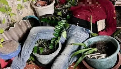 嚇死人！陽台驚現「人形隕石」　台中男從天而降砸壞遮雨棚