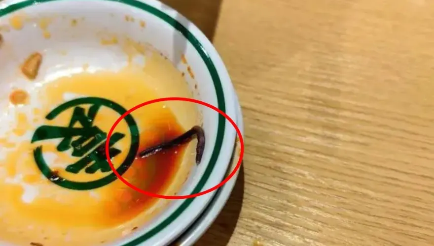 太鮮了？男子在北京雲吞店「吃出3公分黑紫蚯蚓」