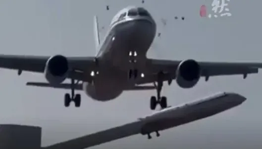 影/驚悚！國航班機降落　鳥群被撞噴飛四散機頭血跡斑斑
