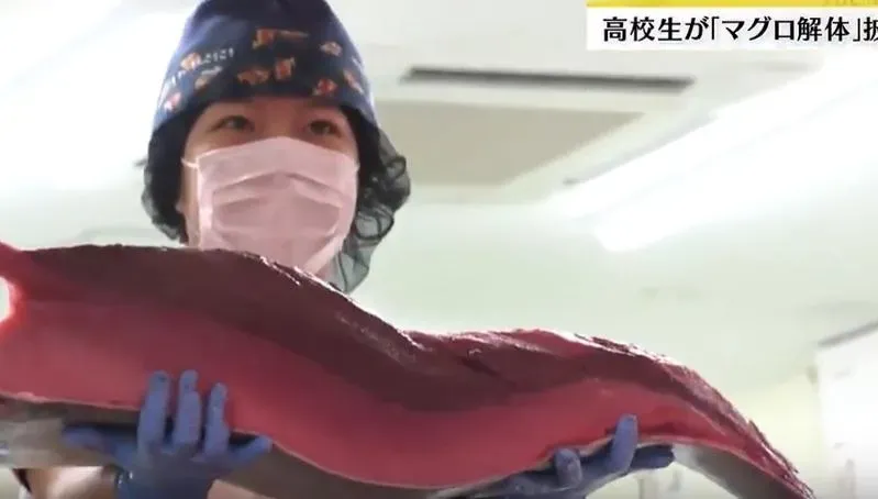 氣勢十足！日本女高中生鮪魚解體秀　手法專業不輸男師傅