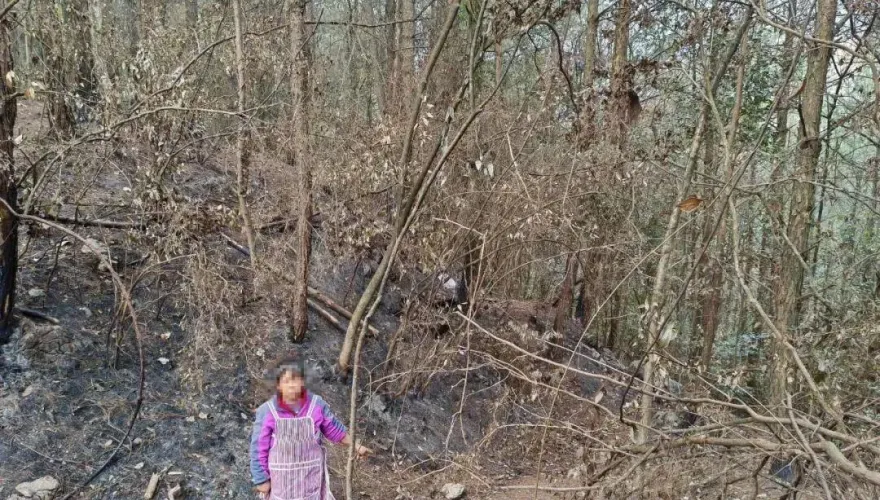 腦殘？為「撿水瓶拿去賣」放火燒山　陸大媽下場GG了