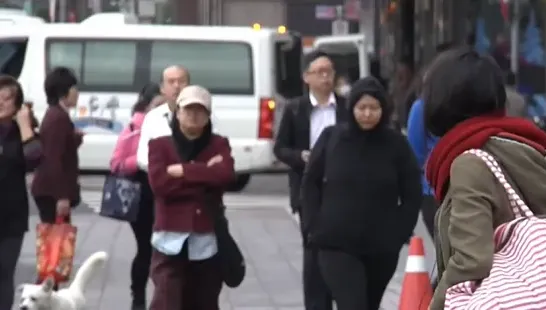 罕見等壓線觸陸！鄭明典示警：氣壓越高冷空氣越強