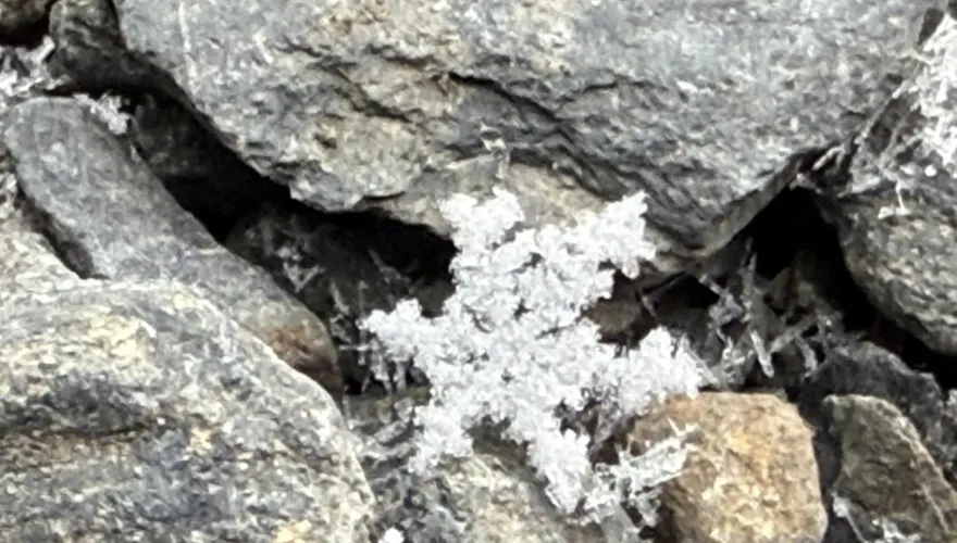 影/瑞雪報到！不只合歡山、玉山15:05也飄雪了　絕美畫面曝
